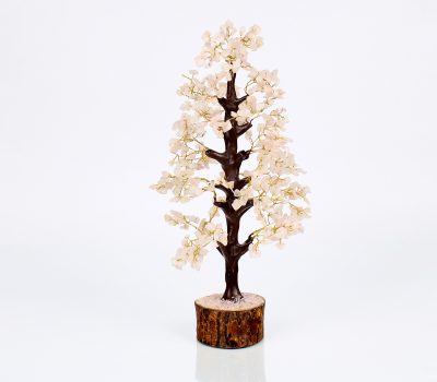 Rose Quartz Crystal Tree - 500 Beads & Wood Base