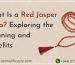 Red Jasper Mala