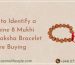 How to Identify a Genuine 8 Mukhi Rudraksha Bracelet Before Buying