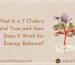 What Is a 7 Chakra Crystal Tree and How Does It Work for Energy Balance?