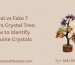 Real vs Fake 7 Chakra Crystal Tree: How to Identify Genuine Crystals