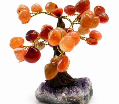 Carnelian tree