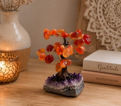 Carnelian tree live