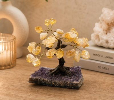 Citrine tree live