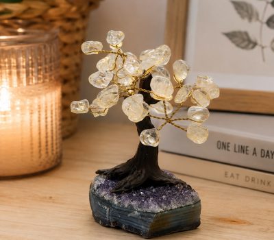 Clear Quartz tree live