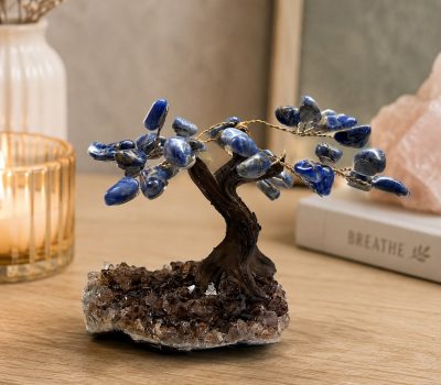 Sodalite tree Live